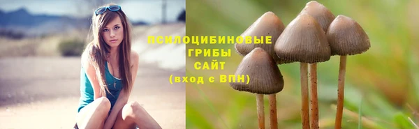 гидропоника Баксан